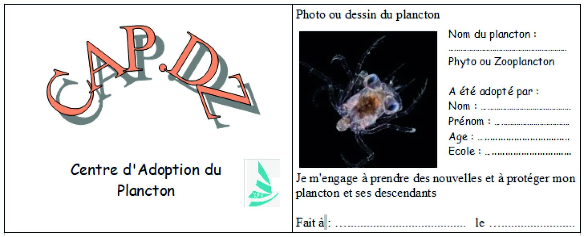 article-site-ecole - article-site-ecole