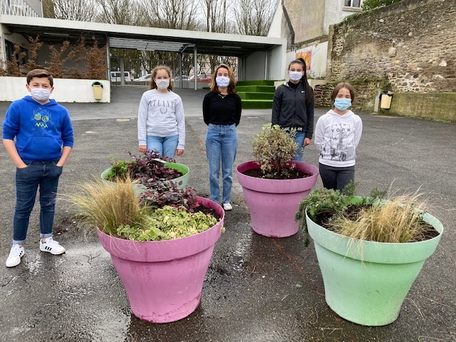 Des éco délégués jardinent pour embellir la cour du collège !