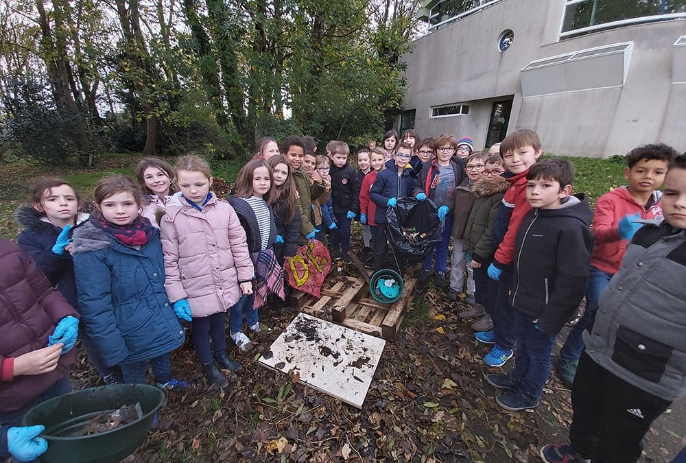 Nettoyage du petit bois