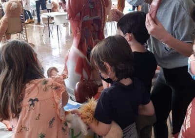 210401-Hopital-des-nounours-6-400x284