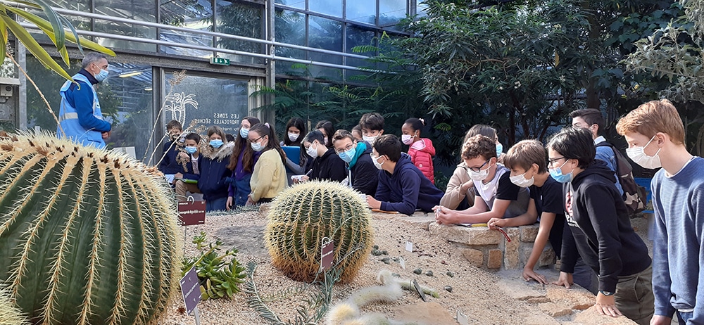 Visite du Conservatoire Botanique pour les 4èmes !