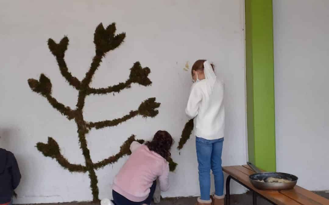 Un graffiti végétal éphémère !