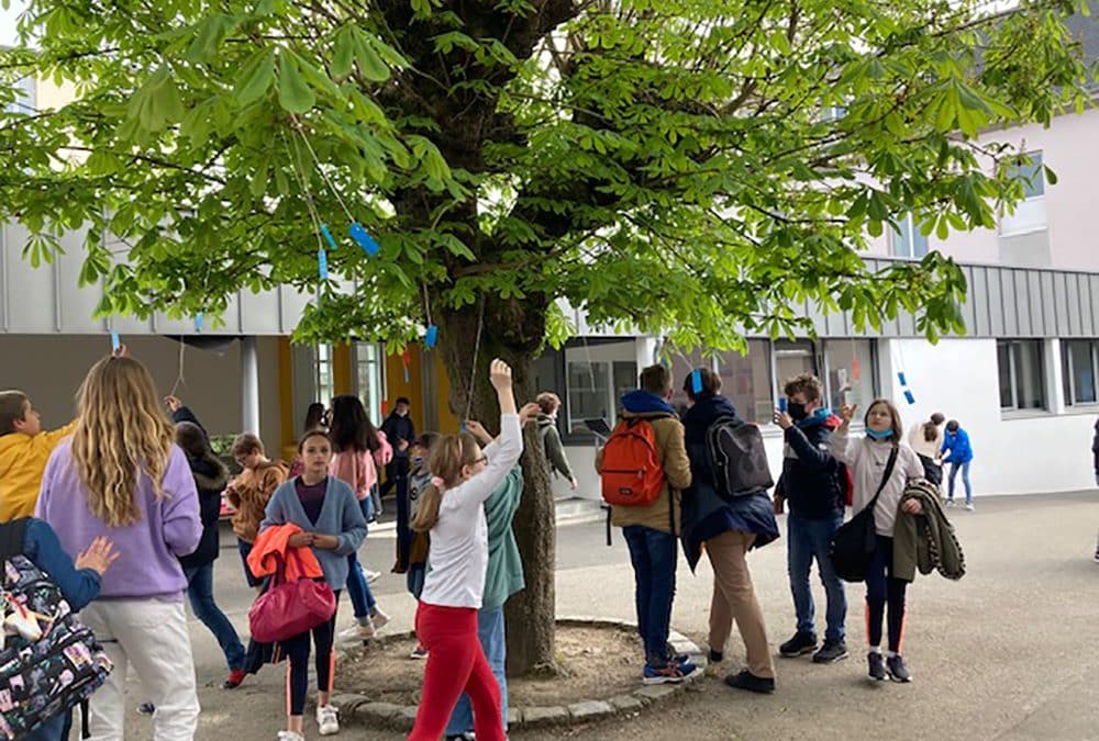 Des arbres à poèmes au collège Kerbonne !