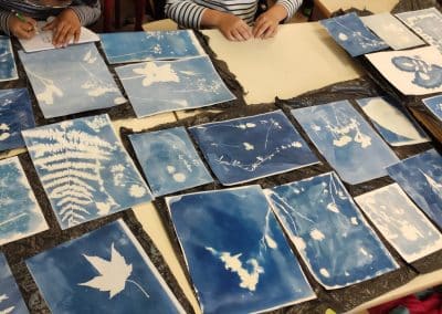 220617-cyanotype-1-400x284