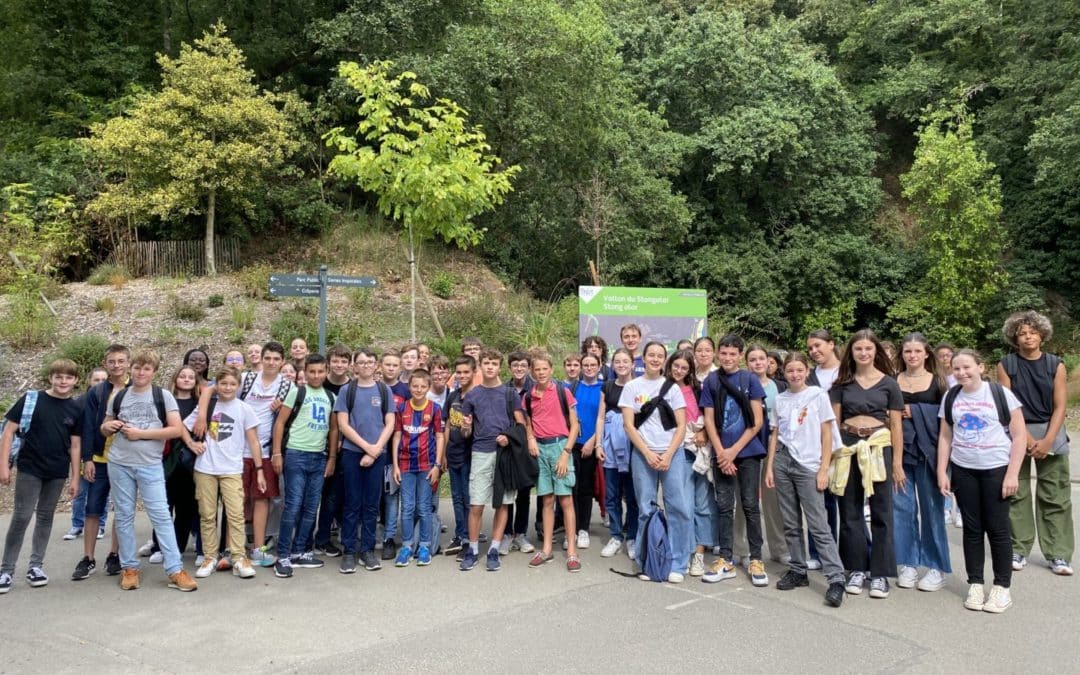 Visite du conservatoire botanique au Vallon du Stang Alar !