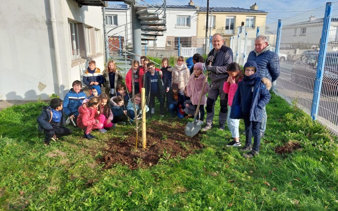 Végétalisation de la cour !