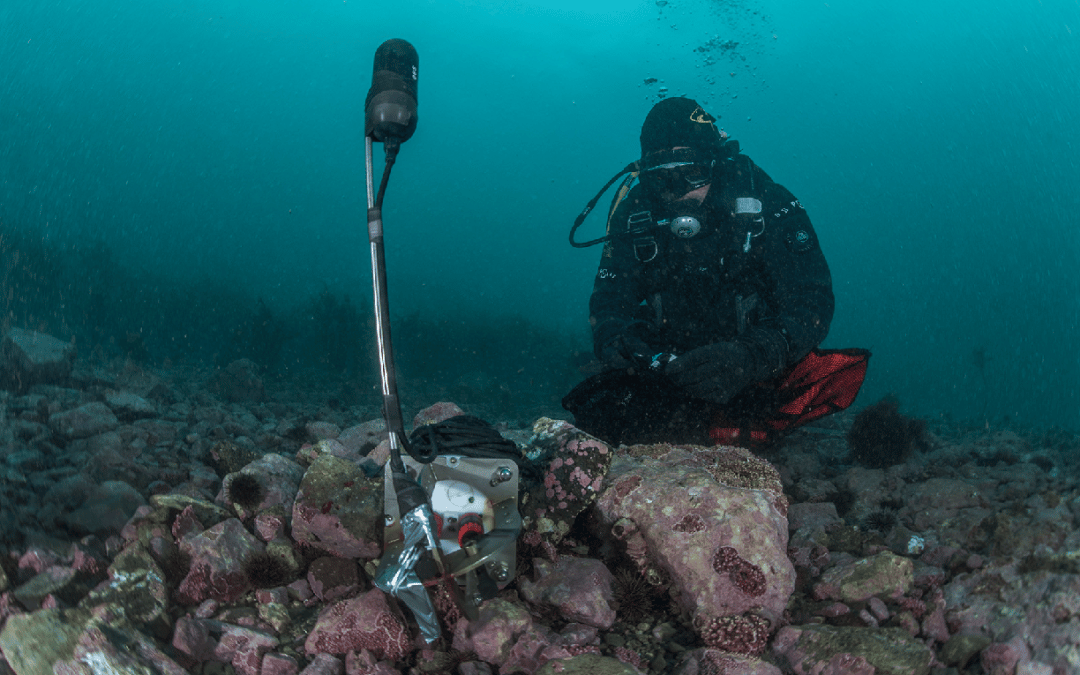 Rencontre avec une scientifique, acousticienne sous-marine