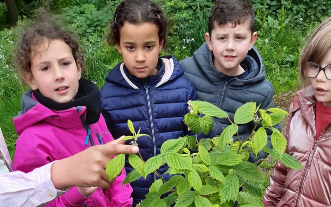 Ça pousse à l’école !