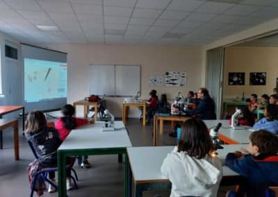 Animation-plancton-400x284