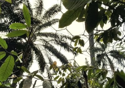 20231018_110647-400x284