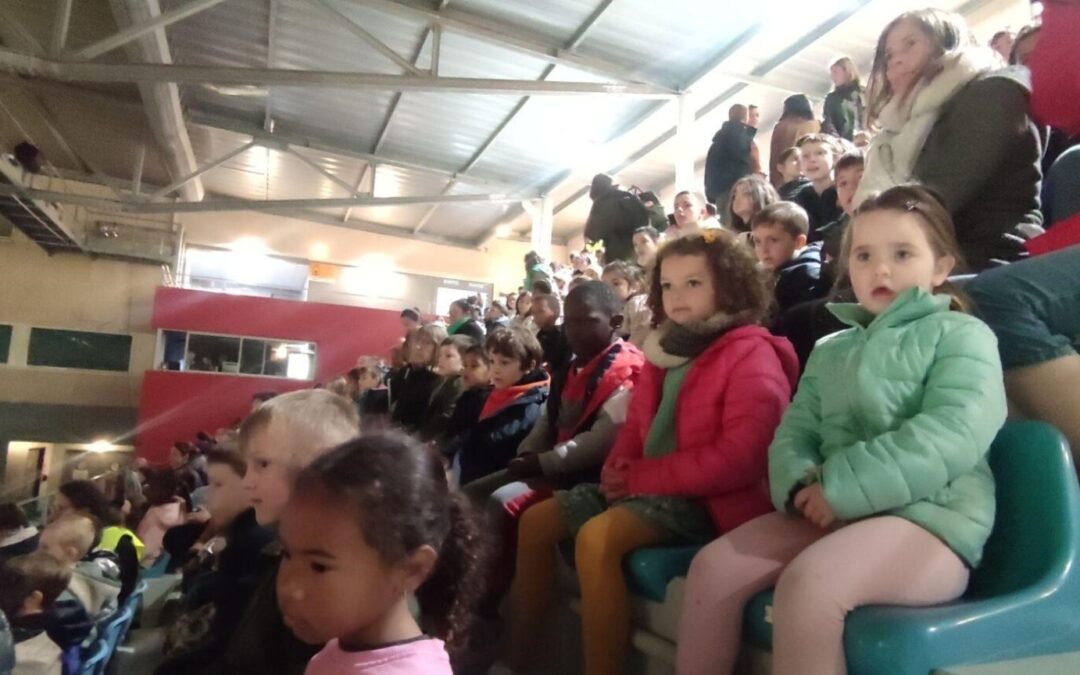 Spectacle à la patinoire !