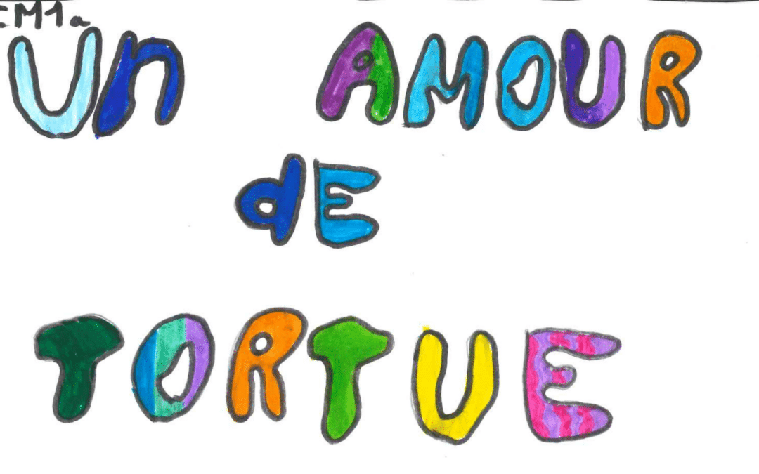 CM1 : Les étapes d’élaboration de notre bande dessinée !