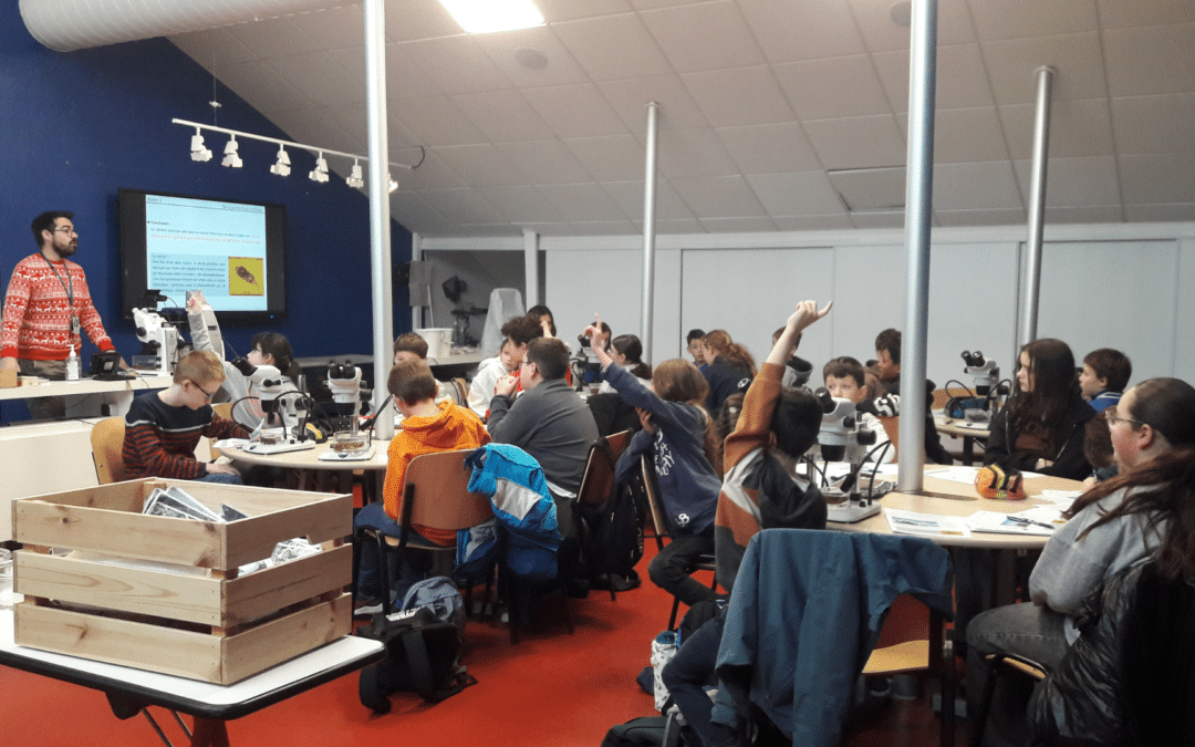 Mardi 17 décembre 2024 : Sortie à Océanopolis pour les élèves de 6ème du collège Notre-Dame de Kerbonne.