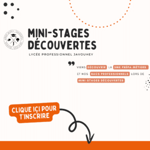 banniere-google-forme-journee-decouverte-LP-Publication-Instagram-300x300