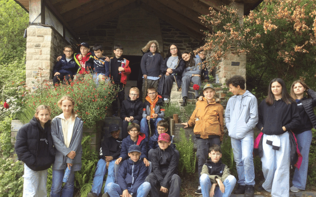 Immersion anglaise mémorable au cœur des Monts d’Arrée