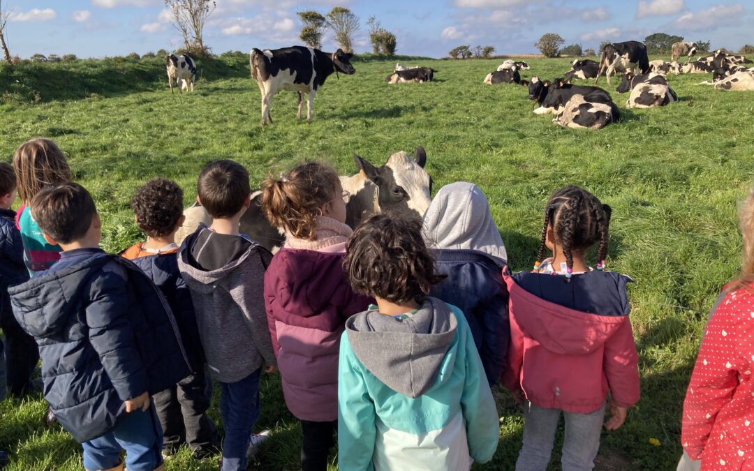 La classe de GS à la ferme de Julien