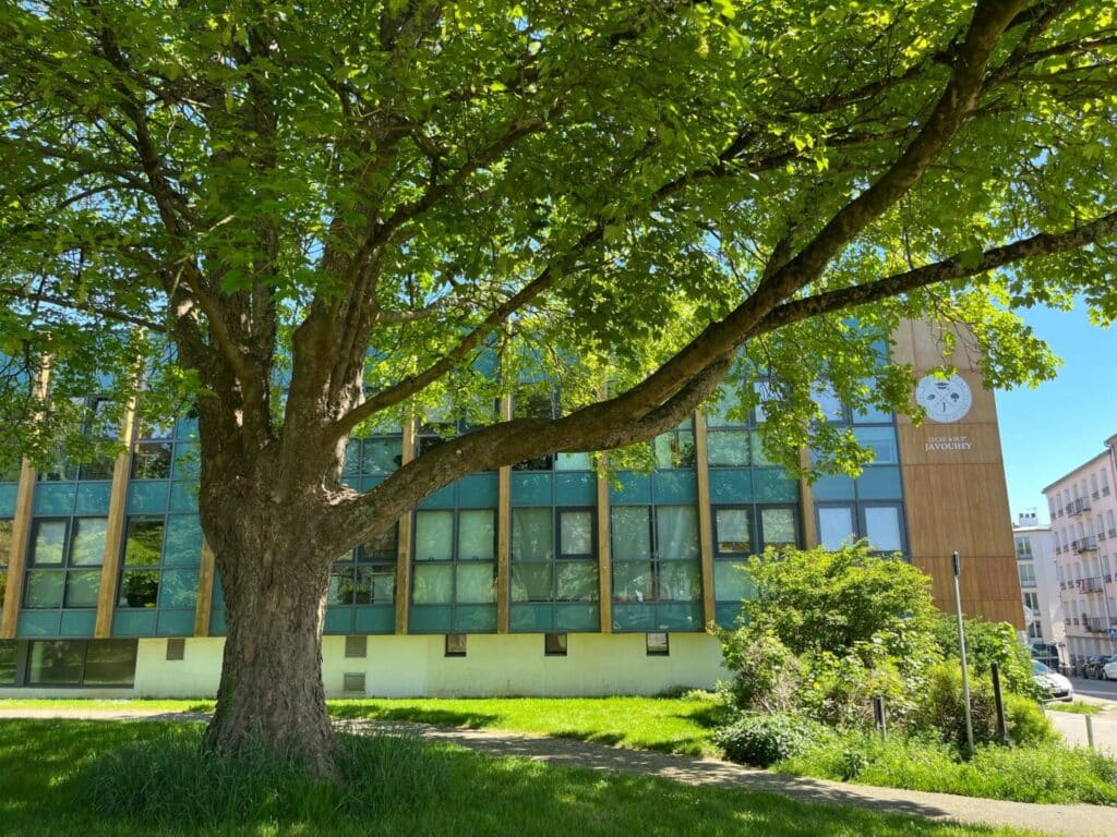 IMG-20250429-WA0019-1024x768