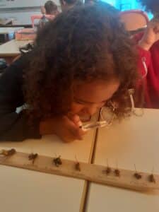 20250922_115216-225x300