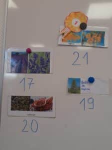 20251216_145339-225x300 - 20251216_145339-225x300