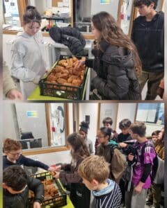 6-240x300 - 6-240x300