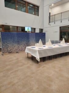 IMG_20251205_155158-225x300