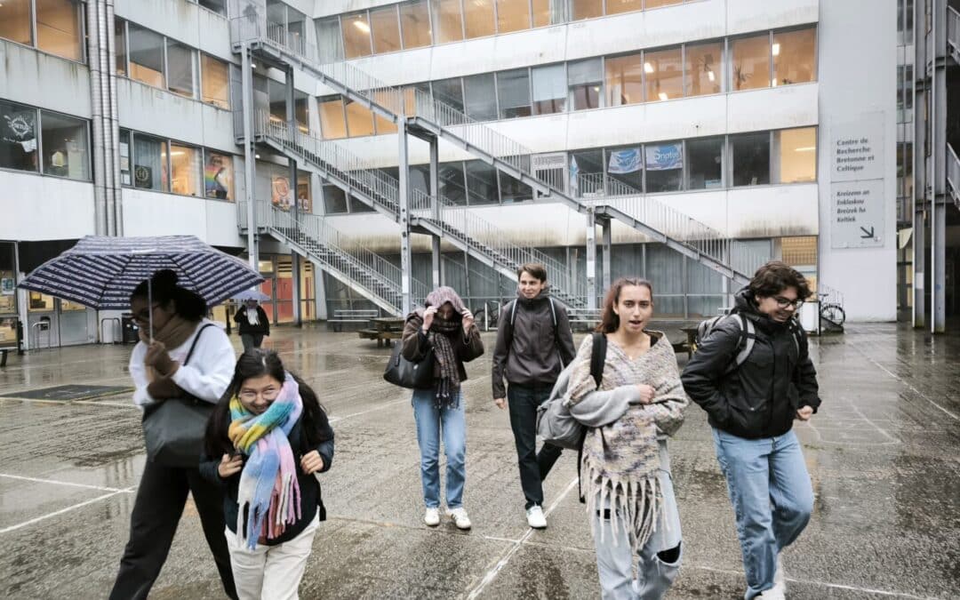 Les latinistes explorent les planches anatomiques d’Eustache
