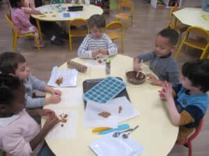 unnamed-1-1-300x225 - unnamed-1-1-300x225