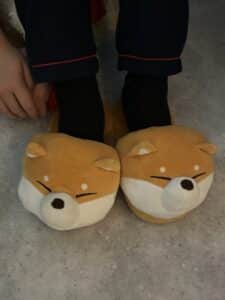 IMG_3432-225x300 - IMG_3432-225x300