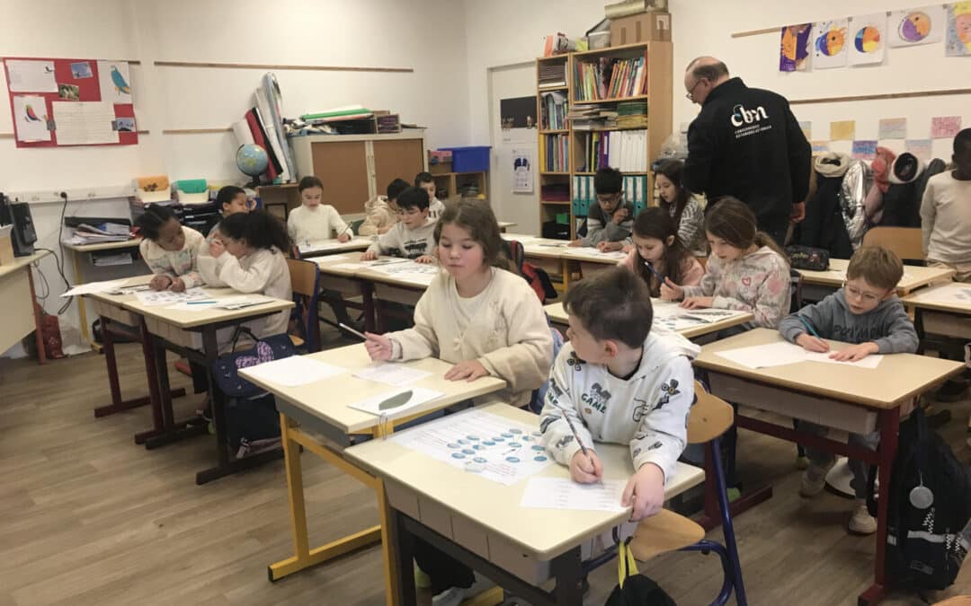 Les CE1-CE2 à la découverte des arbres