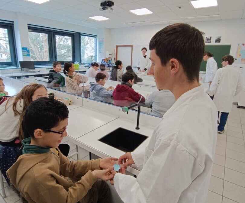 Découverte des cristaux : les CM1/CM2 visitent les laboratoires du lycée